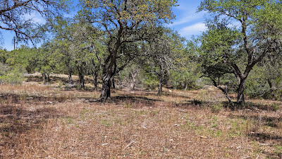 11387 FM 32 photo 28
