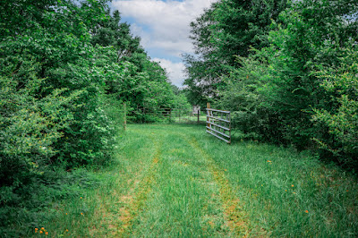 Whistle Stop Ranch photo 100