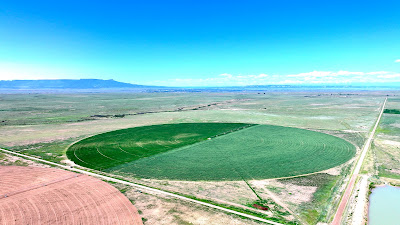Oasis Farms photo 19