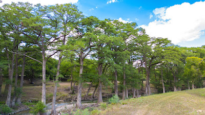 River Bend Ranch photo 6