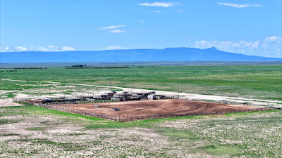 Oasis Farms photo 69