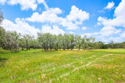 Rancho de Cacería photo 29