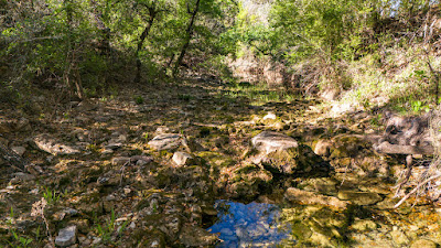 Settlement Branch Ranch photo 56