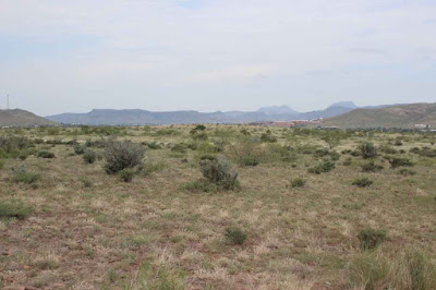 Tract 15R, Sierra La Rana, Alpine, TX 79830 photo 5