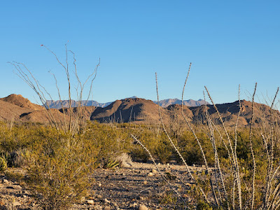 Terlingua Ranch track 38 gate 2 photo 8