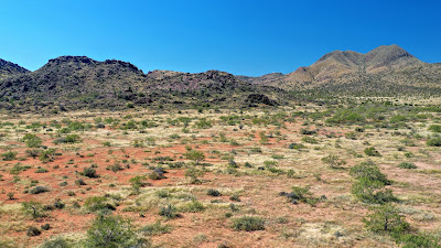 Lizard Mountain Ranch photo 21