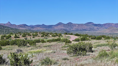 Tract 111, Sierra La Rana, Alpine, TX 79830 photo 3