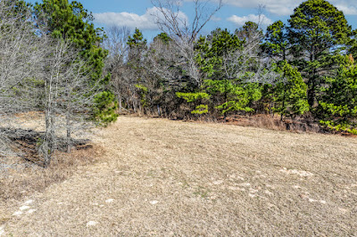 1609 C R 246 S photo 28