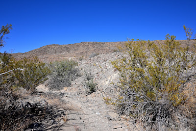 23031 FM 170 photo 29