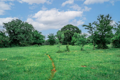 Whistle Stop Ranch photo 80