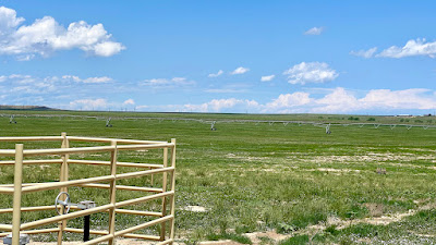 Oasis Farms photo 44
