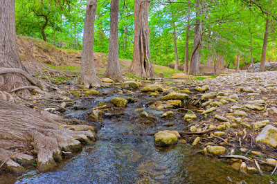 Heritage Springs Ranch photo 8
