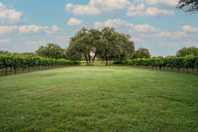 Christoval Winery & Vineyard photo 47