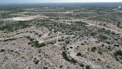 Lobo Trail Ranch photo 6
