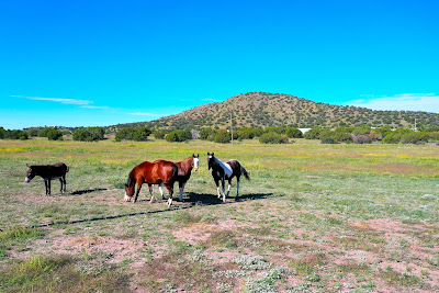 Greenbriar Ranch photo 3