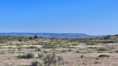 Tract 9, Sierra La Rana, Alpine, TX 79830 photo 2