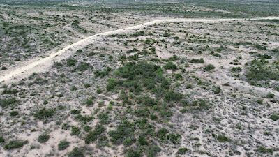 Lobo Trail Ranch photo 3