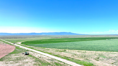 Oasis Farms photo 90