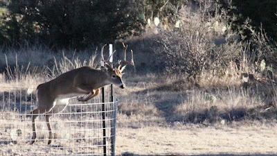 Lonesome Draw Ranch North photo 19