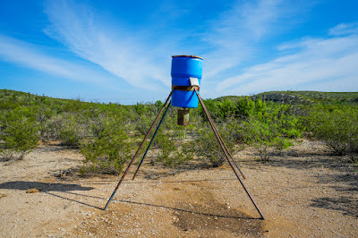 Dos Lobo Ranch photo 22