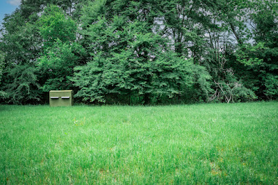 Whistle Stop Ranch photo 92