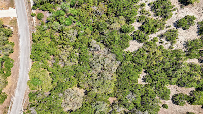 806 Rutherford photo 23