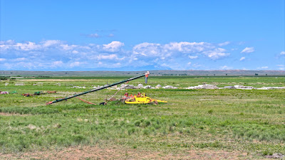Oasis Farms photo 23