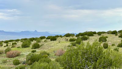 Tract 56, Sierra La Rana, Alpine, TX 79830 photo 14