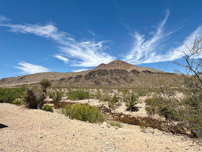 Seahorse Ranch photo 9