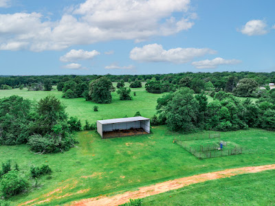Whistle Stop Ranch photo 61